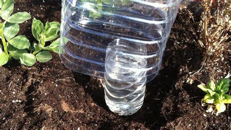Schéma d'un système d'arrosage goutte-à-goutte avec une bouteille en plastique