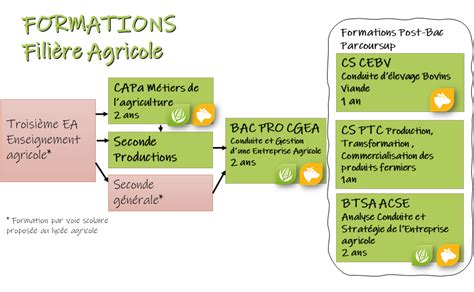 Schéma illustrant le fonctionnement d'un chantier d'insertion : production agricole, formation, accompagnement socio-professionnel