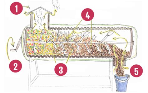Diagramme illustrant le cycle de température dans un composteur industriel.