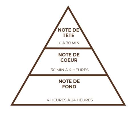 Schéma des notes de parfum : Fraise, Cassis en tête ; Cyclamen, Freesia au cœur ; Musc en fond