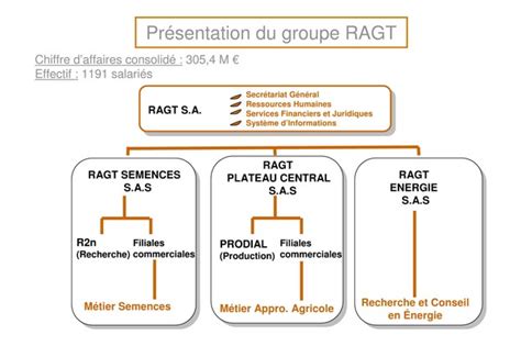 Diagramme illustrant la structure du groupe RAGT avec ses filiales