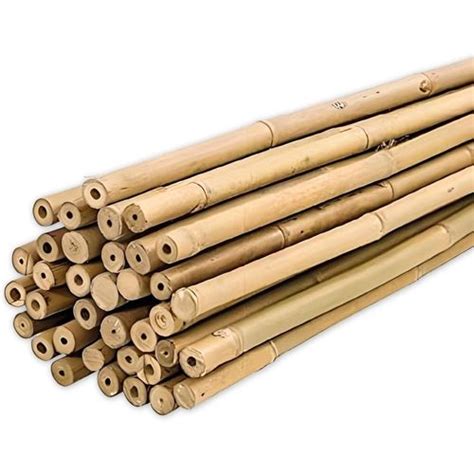 Gamme de tuteurs en bambou de différentes tailles