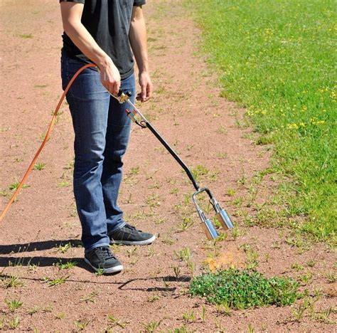 Désherbeur thermique à gaz en action sur une allée pavée