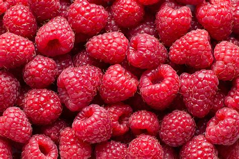 Illustration d'une nymphe cueillant des framboises sur le mont Ida