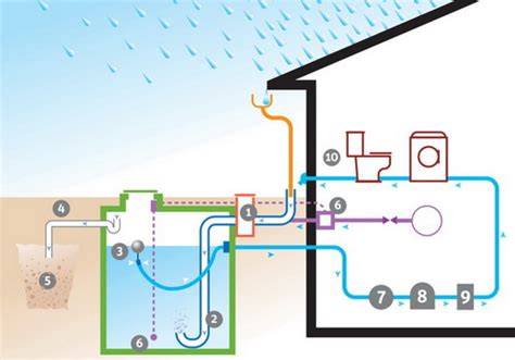 Infographie montrant le fonctionnement d'un récupérateur d'eau de pluie couplé à une pompe et un réseau d'arrosage
