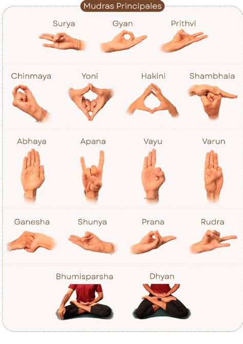 Schéma illustrant les différentes postures des mudras bouddhistes
