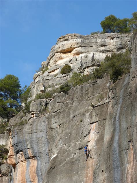 Détail de prises d'escalade sur une paroi naturelle