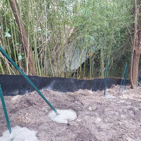 Illustration d'une tranchée de protection pour contenir les rhizomes de bambous