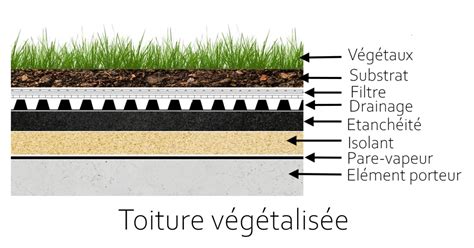 Schéma illustrant les différentes couches d'un gazon sportif : substrat, système de drainage et couverture végétale