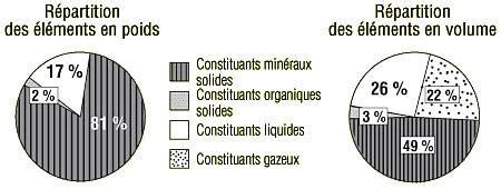 Diagramme illustrant la composition du sable : débris coquilliers, minéraux et microplastiques