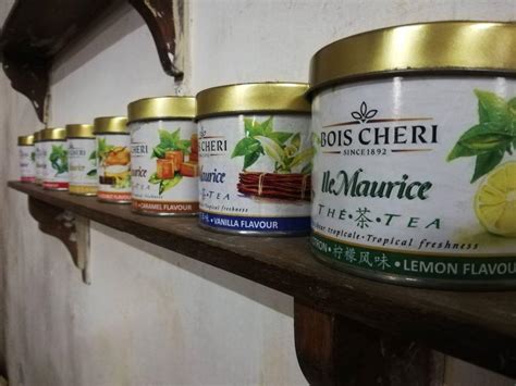 Femmes cueilleuses de thé à Bois Chéri