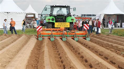 Illustration des techniques de buttage et d'utilisation de filets anti-insectes