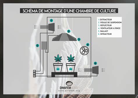 Schéma d'une armoire de culture de cannabis