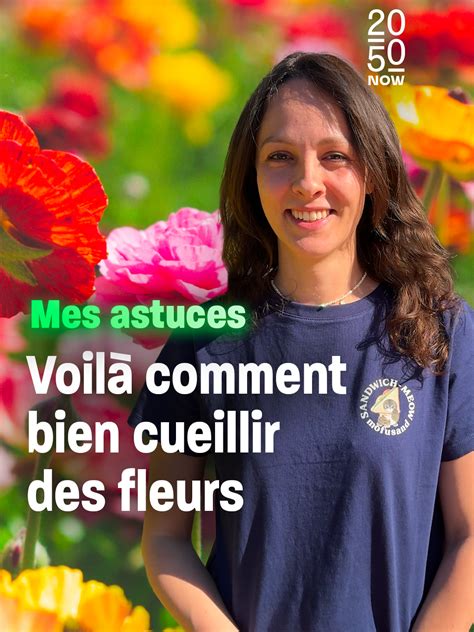 Conseils pour une cueillette responsable