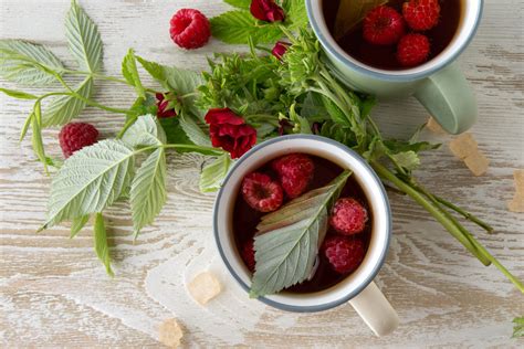 une tasse de thé aux feuilles de framboisier fumante entourée de feuilles fraîches et de framboises