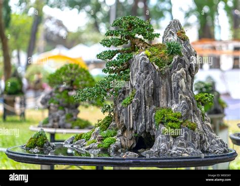 Anciens penjing chinois