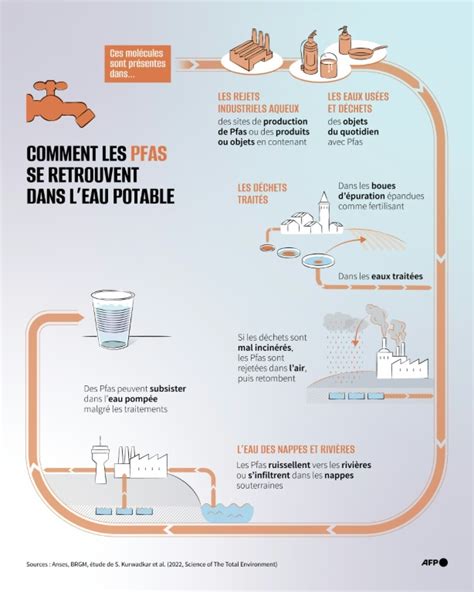 Infographie expliquant la différence entre substances actives et produits finis