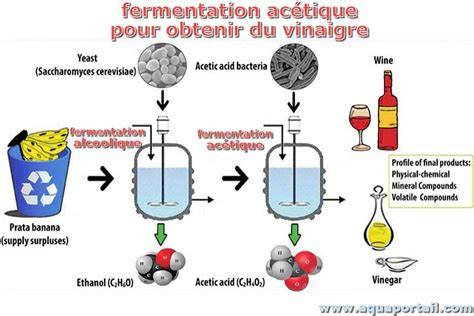 Schéma illustrant le processus de fermentation Bokashi dans un seau hermétique