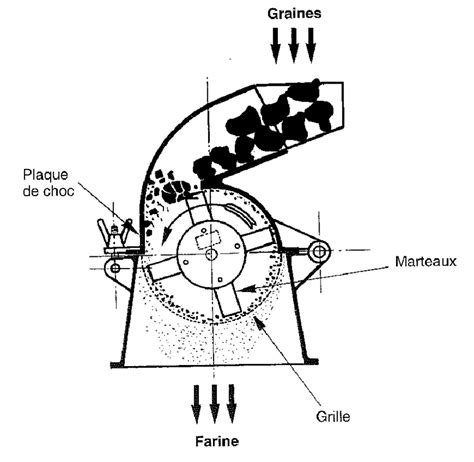 Schéma technique illustrant le fonctionnement d'un rotor de broyeur à végétaux avec couteaux et marteaux