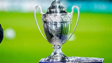 Infographie montrant la coupe à 45 degrés sous un nœud et le grattage léger de la tige