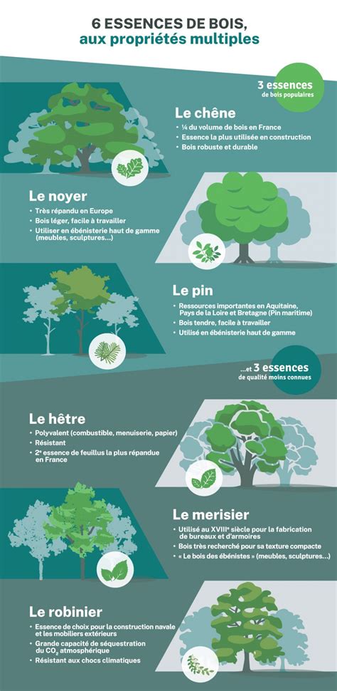 Infographie comparative des différentes essences de bois pour le jardin selon leur résistance à l'humidité