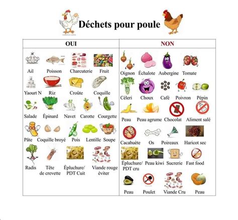 tableau récapitulatif des aliments autorisés et interdits pour les poules