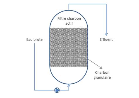 Schéma illustrant le fonctionnement d'un filtre à charbon actif au sommet d'un bioseau, capturant les molécules odorantes avant qu'elles ne s'échappent dans la cuisine.