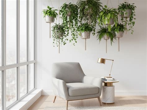 une sélection de différentes plantes suspendues dans un intérieur moderne