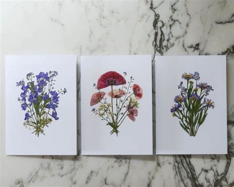 Fleurs pressées sur des cartes de vœux