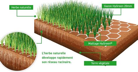 Schéma explicatif illustrant la structure d'une pelouse hybride avec injection de fibres synthétiques dans un substrat naturel
