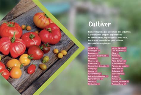 Illustration d'un potager foisonnant de diversité végétale