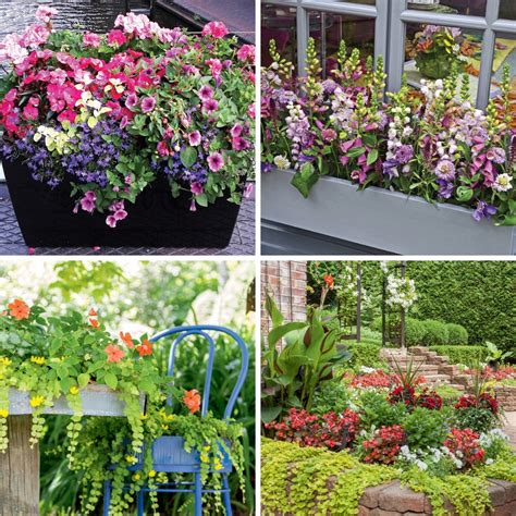 formes variées de jardinières