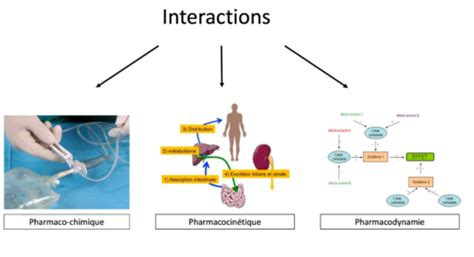 Schéma simplifié des interactions médicamenteuses du 5-HTP avec les traitements sérotoninergiques