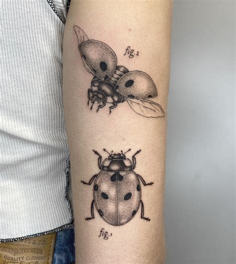Comparaison Dotwork et Fine Line