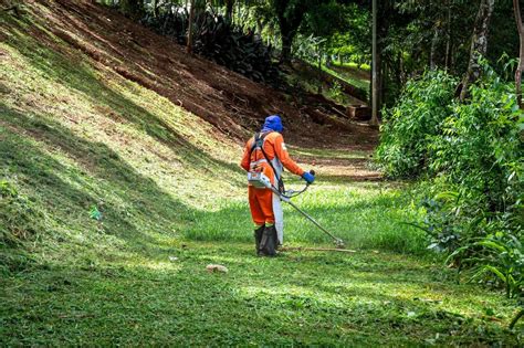 Un jardinier utilisant un arracheur Fiskars dans une pelouse fleurie