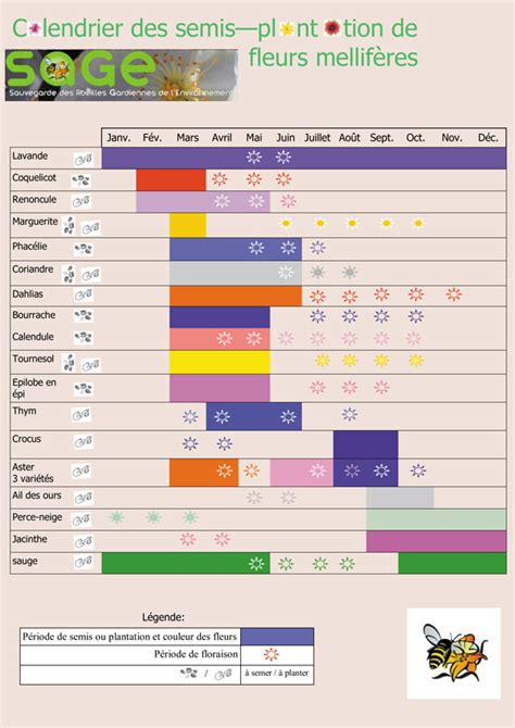 Infographie présentant le calendrier de floraison des arbustes mellifères