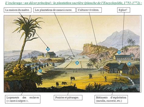 Schéma de l'organisation spatiale d'une plantation sucrière aux Antilles au XVIIIe siècle