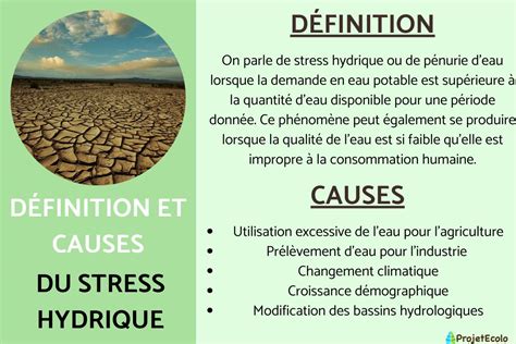 Infographie symptômes stress hydrique figuier