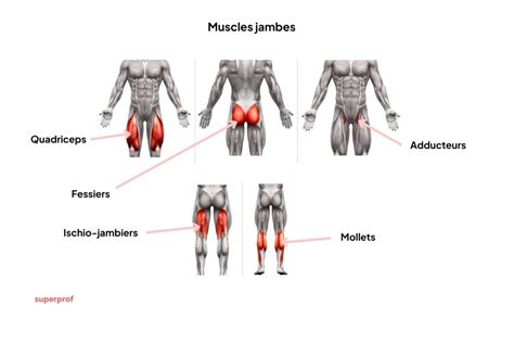 Photographie des membres des Musclés lors d'une prestation scénique emblématique