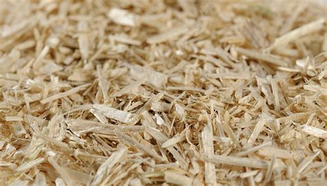 Comparaison visuelle : Paillis de chanvre vs Copeaux de bois