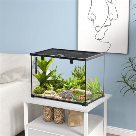 Terrarium avec sphaigne vivante et reptiles