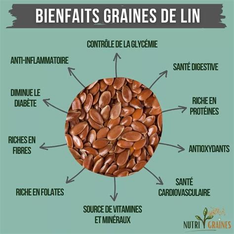 Infographie sur les bienfaits nutritionnels des graines de lin et leur utilisation en cosmétique