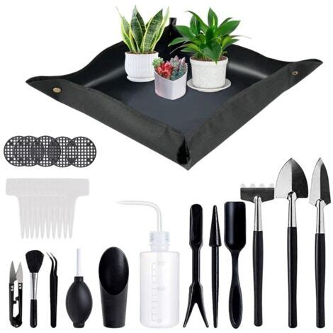 Outils de jardinage pour succulentes