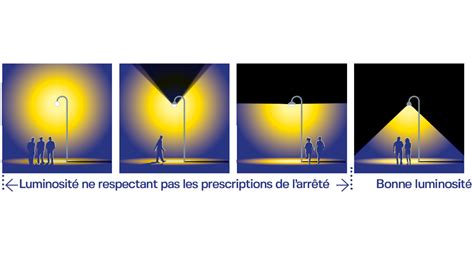 Schéma des besoins en lumière et sol