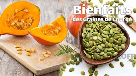 Exemple de graines de courge étalées sur une claie pour le séchage