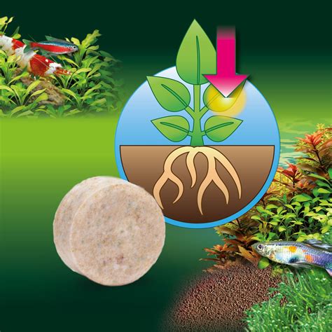 Engrais granulés à dissoudre dans l'eau