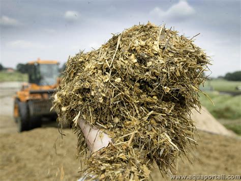 Récolte de méteil en ensilage