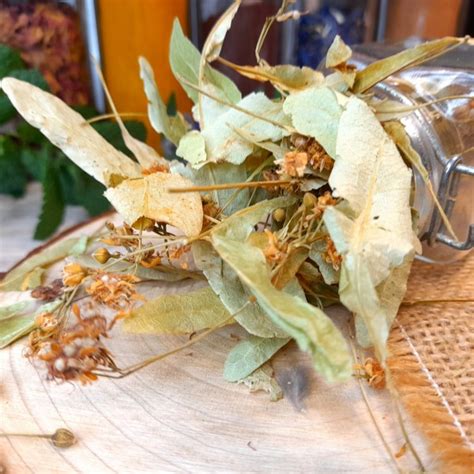 Images de fleurs et feuilles de tilleul séchées pour infusions
