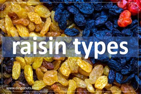 types<em>de</em>raisins