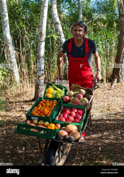 personne poussant une brouette pleine de fruits